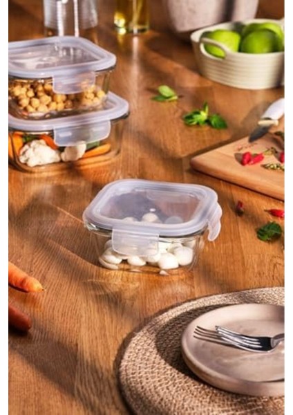 Borosilikat Saklama Kabı, 520 Ml, Şık ve Dayanıklı, Çok Amaçlı, Modern Tasarım modelleri