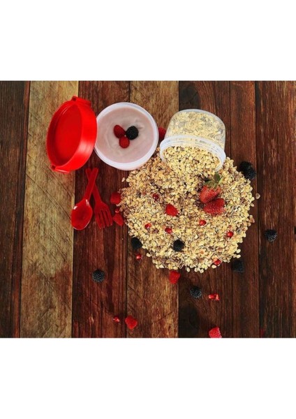 Renkli Dörtlü Çift Bölmeli Meyve, Yoğurt, Müsli ve Atıştırmalık Kabı indirimleri