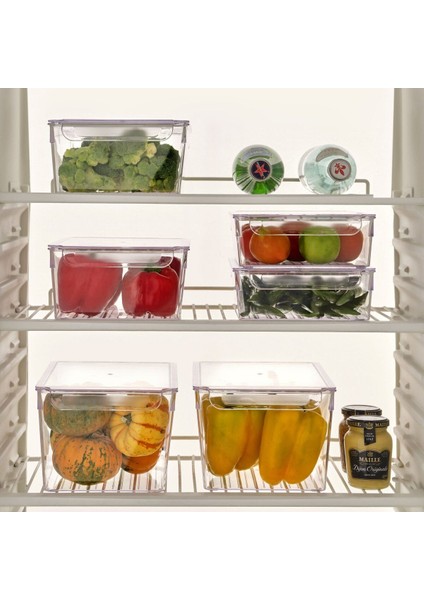 Çok Renkli 200X325X140 Kapaklı Buzdolabı Organizer, Pratik ve Şık Saklama Çözümü