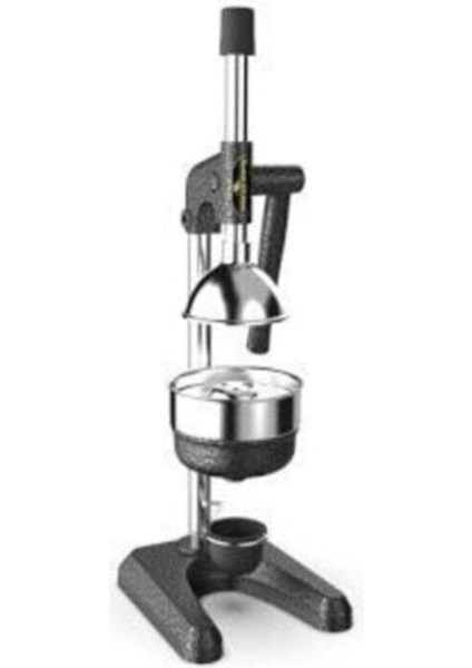 Yüksek Kaliteli Meyve Presi Güçlü Gri li Kolay Kullanım