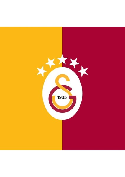 Galatasaray 25. Şampiyonluğa Özel Levha fiyatları