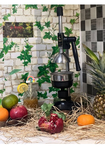 Siyah Narenciye Sıkacağı Pratik ve Meyve Sıkma Aleti modelleri