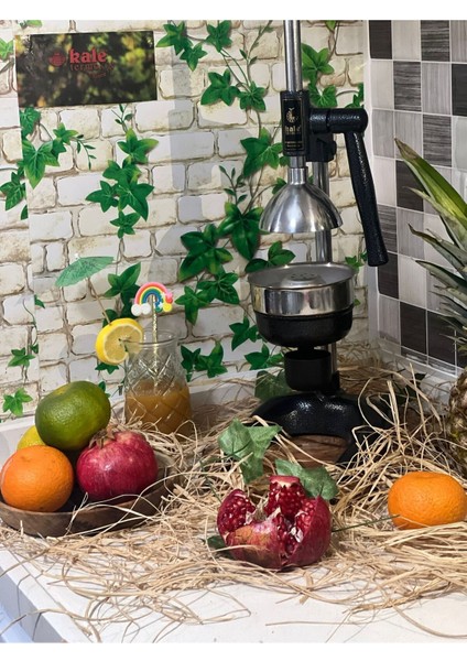 Siyah Narenciye Sıkacağı Pratik ve Meyve Sıkma Aleti fırsatları