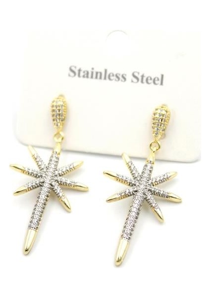 Kutup Yıldızı Küpe - Altın fiyatları