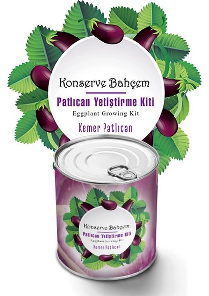 Konserve Bahçem Evde Konservede Kemer Patlıcanyetiştirme Kiti