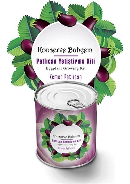 Konserve Bahçem Evde Konservede Kemer Patlıcanyetiştirme Kiti fiyatları