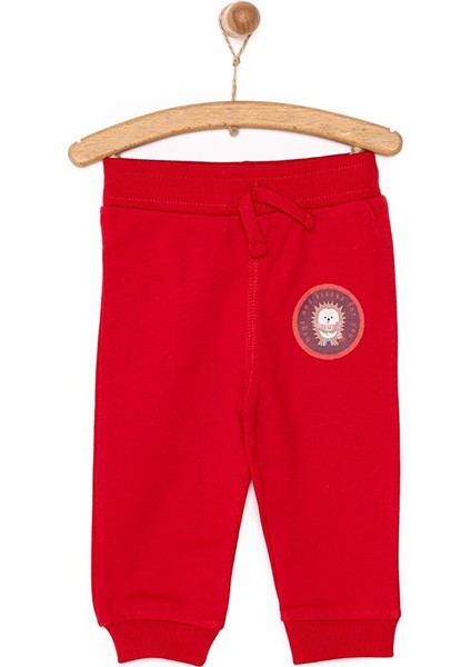 Basic Kirpi Desenli Az Şardonlu Eşofman Alt Unisex
