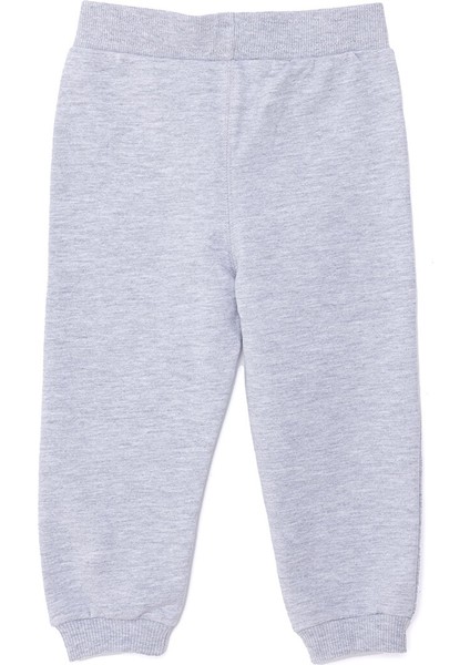 Basic Az Şardonlu Buz Hokeyi ve Penguen Baskılı Eşofman Alt Unisex fiyatları