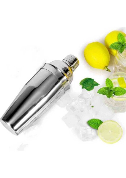 Paslanmaz Çelik Kokteyl ve Meyve Suyu Karıştırıcı, 500 Ml, Şık ve Kullanışlı