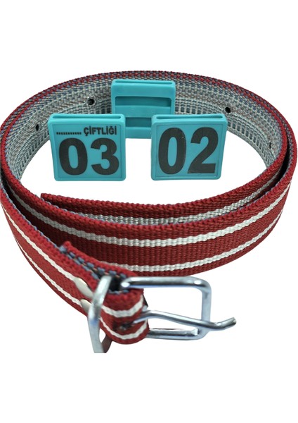 70 Adet Turkuaz Renk Büyükbaş Hayvan Boyunluk Kemer ve Numaratör Takımı (Kemer+Numara)