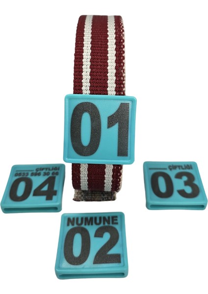 70 Adet Turkuaz Renk Büyükbaş Hayvan Boyunluk Kemer ve Numaratör Takımı (Kemer+Numara) modelleri