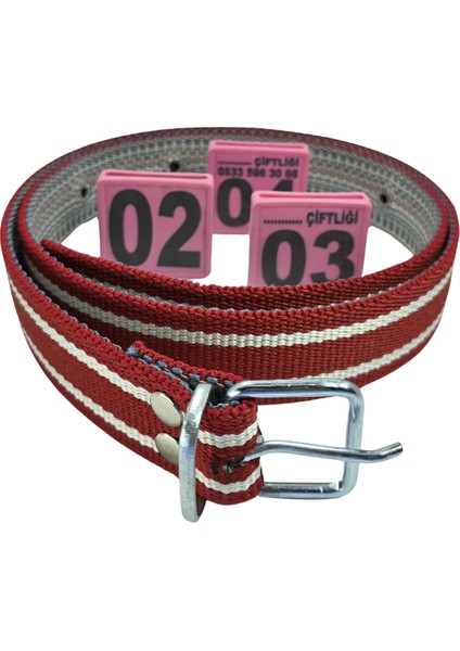 30 Adet Pembe Renk Büyükbaş Hayvan Boyunluk Kemer ve Numaratör Takımı (Kemer+Numara) modelleri