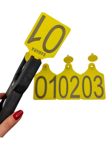 Büyükboy 50 Adet Sarı Xl Büyükboy Hayvan Küpesi+Pens Ucu Hediye fırsatları