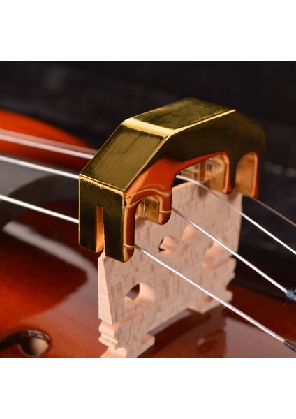 Keman Susturucu Pro Gold DVM4PRG fiyatları