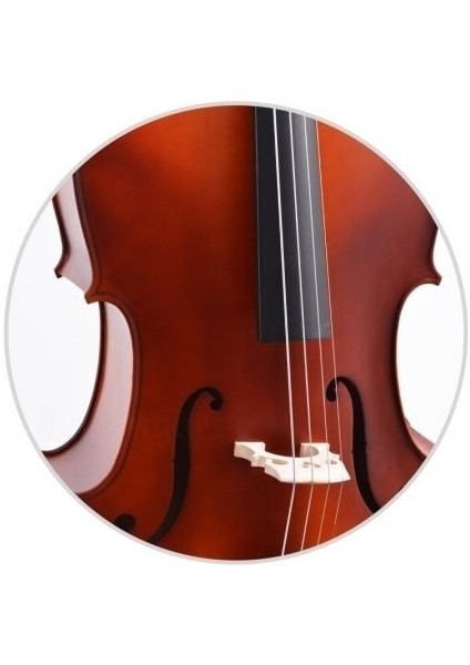 Çello (Viyolonsel) Gül 1/4 DCR14NM fırsatları