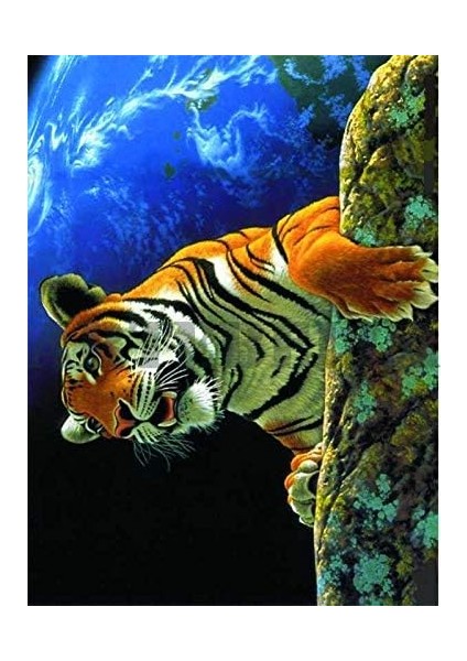 Büyük Kolay Transfer 23X34 cm Açık Zemin 1375V