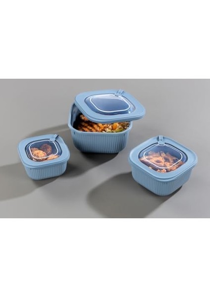 3'lü Microline Saklama Kabı Seti (600-1100-1800 ml) - Hava Tahliye Kapağı ile Mikrodalgada Kapağı Kapalı Isıtma, Vakumlu, Sızdırmaz, Bpa Free, Silikon Kapaklı, Gıdaları Güvenle Saklayın (Mavi) fiyatları