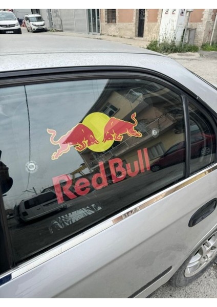 Baskılı Yan Cam Perdesi