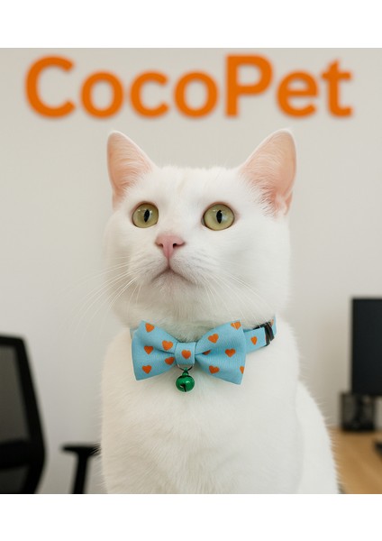 Papyonlu Kedi Boyun Tasması Turkuaz Kalpli Fiyonk Kedi Tasması