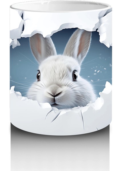 Çatlak Duvar Arasından Bakan Tavşan – Baskılı Kahve Kupası modelleri