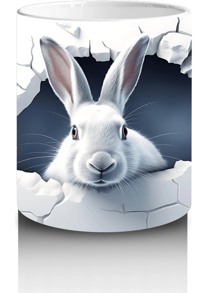 Çatlak Duvar Arasından Bakan Tavşan – Baskılı Kahve Kupası modelleri