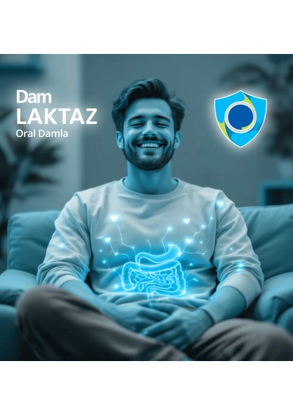 Dam Laktaz modelleri