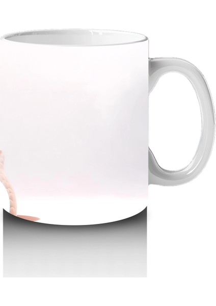 Kalpli Gözlerle Bakan Sevimli Baykuş – Baskılı Kahve Kupası fırsatları