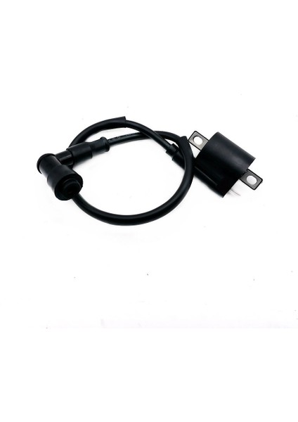 50CC 125CC 150CC 200CC D8TC Cg Zj Yüksek Basınç Bobini Atv Quad Kirli Pit Bike Için Motosiklet Ateşleme Bobini (Yurt Dışından) fiyatları