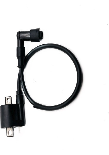 50CC 125CC 150CC 200CC D8TC Cg Zj Yüksek Basınç Bobini Atv Quad Kirli Pit Bike Için Motosiklet Ateşleme Bobini (Yurt Dışından) indirimleri