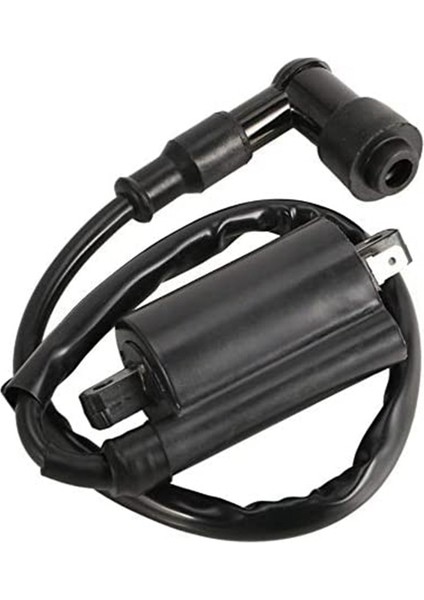 Motosiklet Ateşleme Bobini Yamaha GS125 GN125 VX250 Virago 1100 XV1100 XV-1100 1995-2007 Için Uygun (Yurt Dışından) modelleri