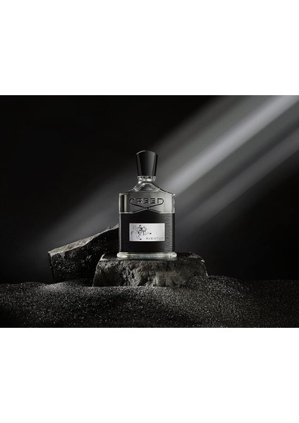 Aventus 100ML Edp fiyatları