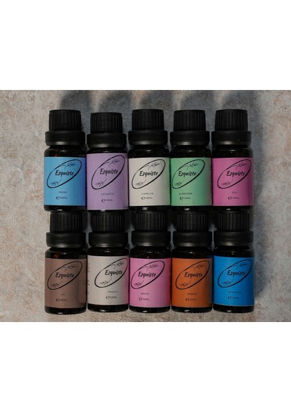 Mistik & Özel 10’lu Esans Seti – Premium Odunsu & Sofistike Aromalar – 10 Adet 10 ml Şişe