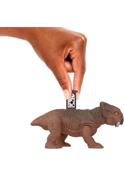 Tehlikeli Dinozor Paketi HLN49 - Guanlog Vs Lystrosaurus HTK55 fırsatları