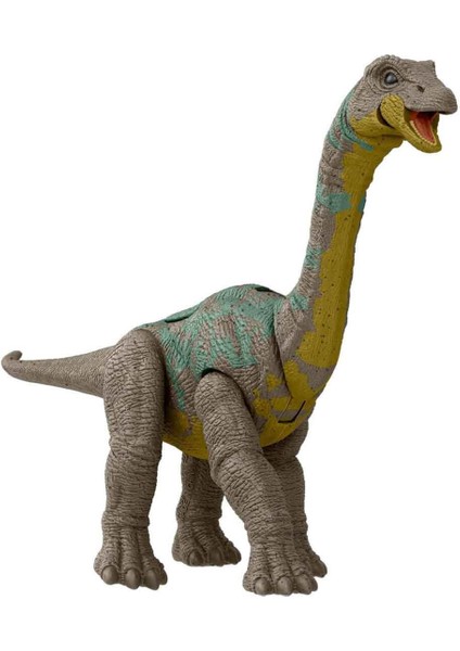 Tehlikeli Dinozor Paketi HLN49 - Apatosaurus HTK58