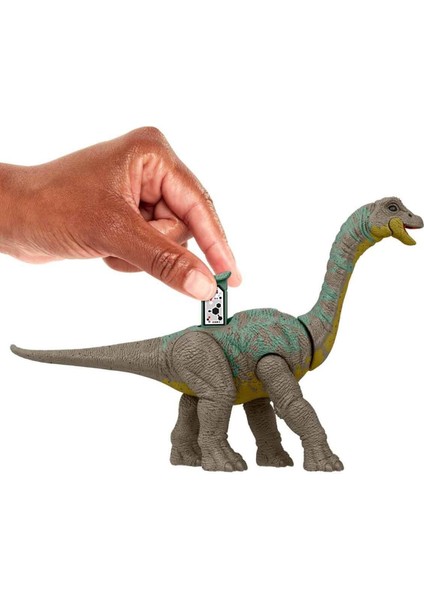 Tehlikeli Dinozor Paketi HLN49 - Apatosaurus HTK58 modelleri