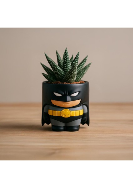 Batman Figürlü Mini Saksı