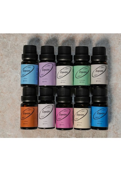 Çiçek Bahçesi 10’lu Premium Esans Seti – Oda Kokusu & Difüzör – 10 Adet 10 ml Şişe