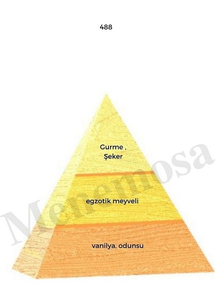 488 Unisex Parfüm Edp 50 ml Oriental MNMS50488 - MNMS50488 fiyatları