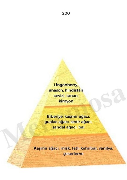 200 Unisex Parfüm Edp 50 ml Oriental - MNMS50200 fiyatları