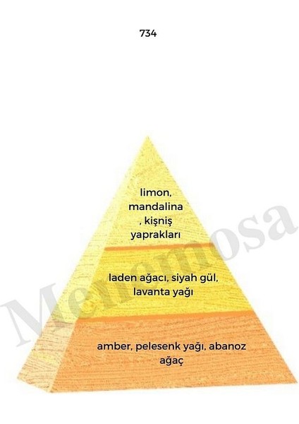 734 Erkek Parfüm EDP 50 ml Oriental - MNMS50734 fiyatları