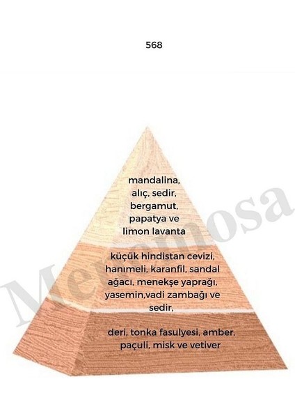 568 Erkek Parfüm EDP 50 ml Floral MNMS50568 fiyatları