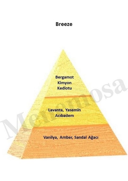 Breeze Erkek Parfüm EDP 50 ml fiyatları
