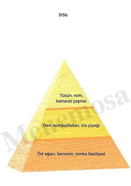 515B Erkek Parfüm EDP 50 ml Oriental MNMS50515B fiyatları