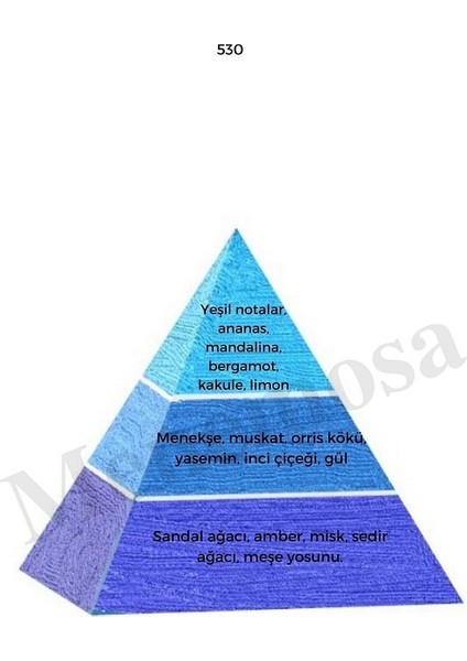 530 Erkek Parfüm EDP 50 ml Fresh - MNMS50530 fiyatları