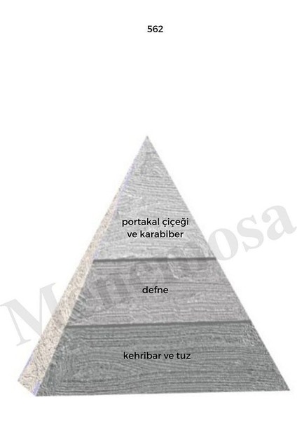 562 Erkek Parfüm EDP 50 ml Woody MNMS50562 fiyatları