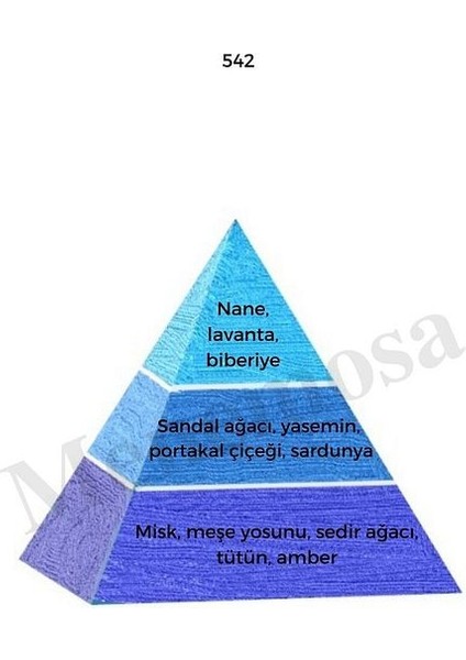 542 Erkek Parfüm EDP 50 ml Fresh - MNMS50542 fiyatları