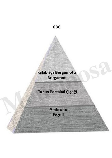 636 Erkek Parfüm EDP 50 ml Woody -MNMS50636 fiyatları