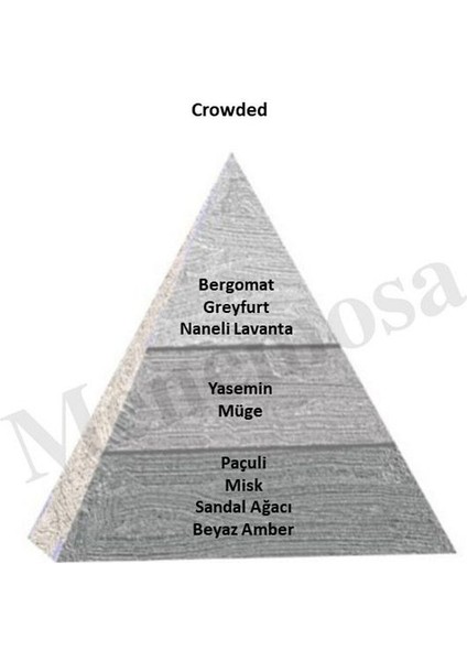 Crowded Erkek Parfüm EDP 50 ml Woody - MNMS50CRWD fiyatları