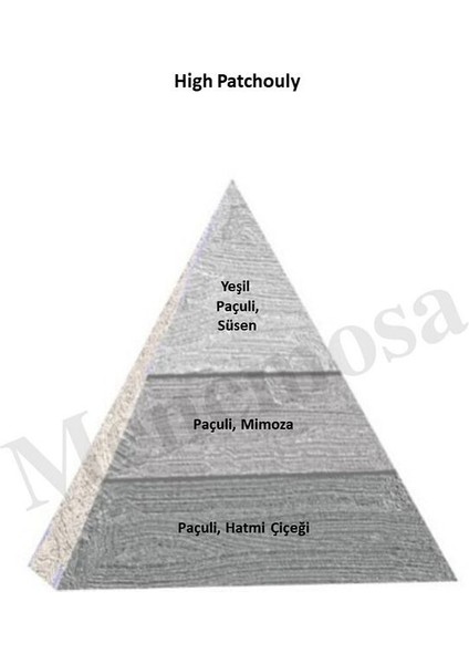 High Patchouly Unisex Parfüm EDP 50 ml Exclusive fiyatları