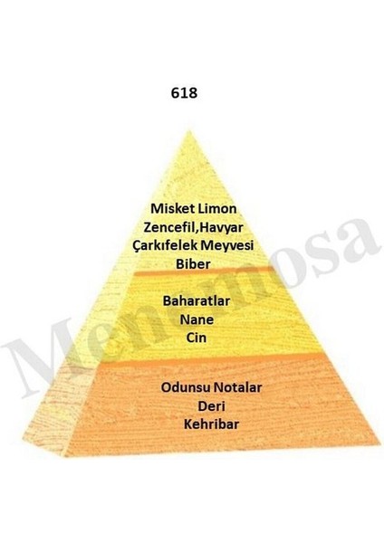 618 Erkek Parfüm 50 ml EDP Oriental - MNMS50618 fiyatları